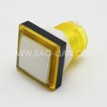 3333 Square Illuminated Color Body Push Button White inner Lamp/LED